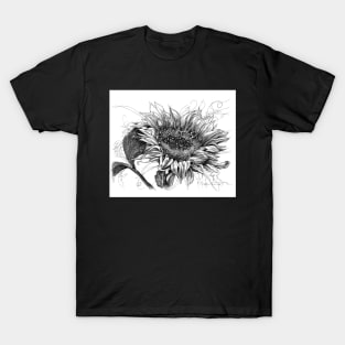 Here Comes The Sun T-Shirt